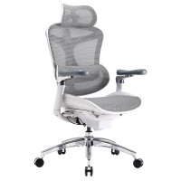 Крісло офісне Sihoo DORO C300 Pro Mesh White
