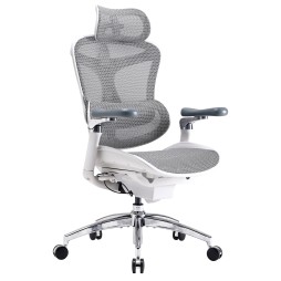 Крісло офісне Sihoo DORO C300 Pro Mesh White