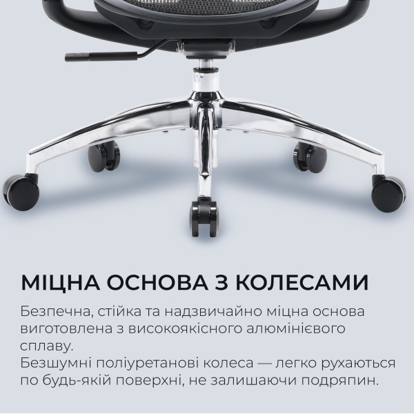 Крісло офісне Sihoo DORO C300L Mesh Black