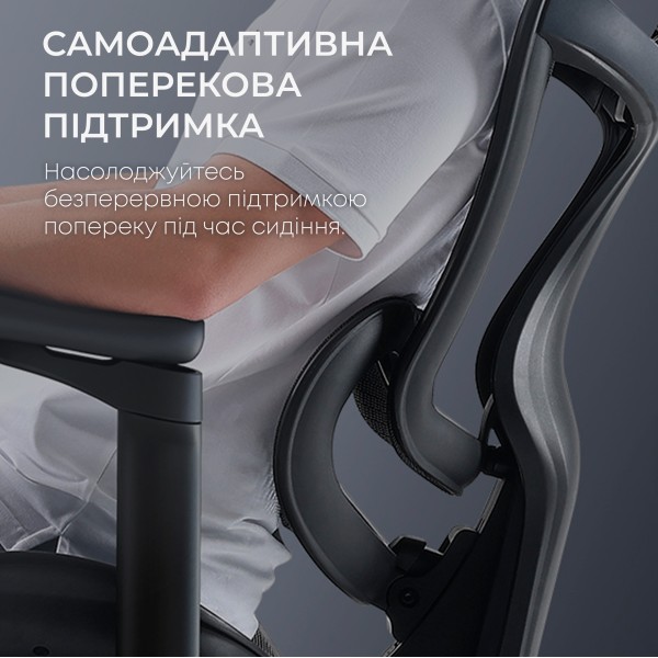 Крісло офісне Sihoo DORO C300L Mesh Black