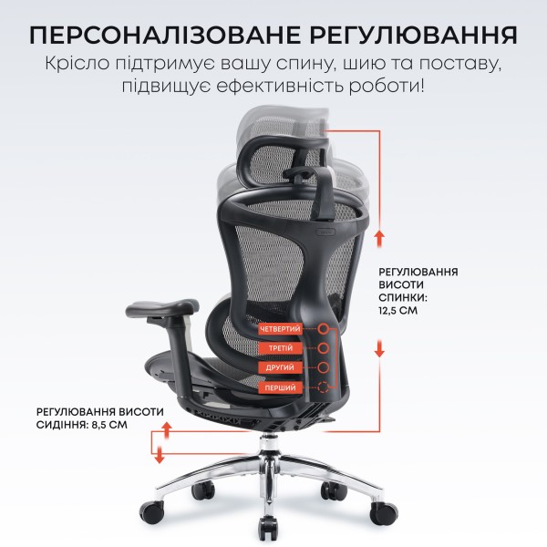 Крісло офісне Sihoo DORO C300L Mesh Black