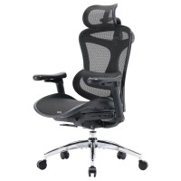 Крісло офісне Sihoo DORO C300L Mesh Black