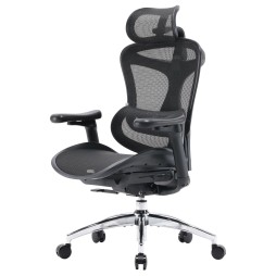 Крісло офісне Sihoo DORO C300L Mesh Black