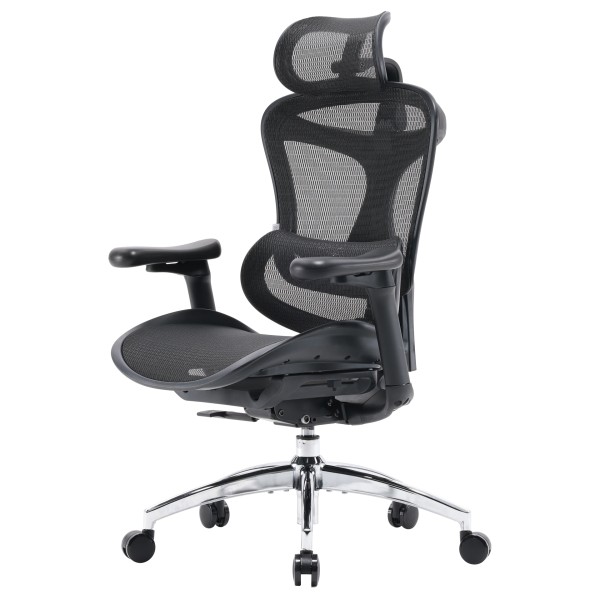 Крісло офісне Sihoo DORO C300L Mesh Black