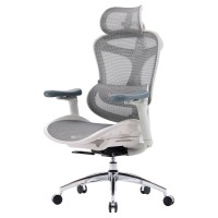 Крісло офісне Sihoo DORO C300L Mesh White