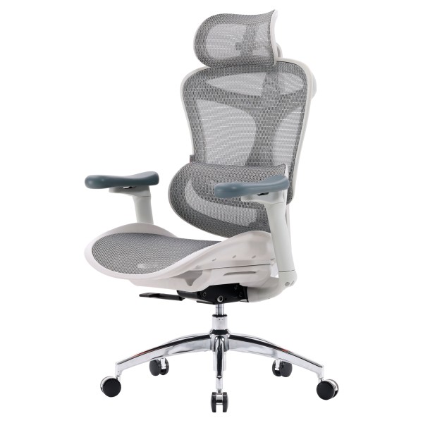 Крісло офісне Sihoo DORO C300L Mesh White