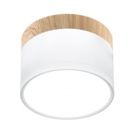 Точковий світильник Candellux 2273648 TUBA