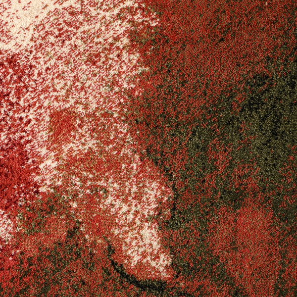 Килим Landscape Silence