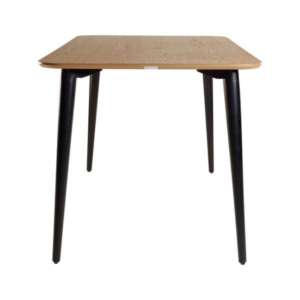 Стіл Dan 120x80 - Сучасний стіл для кухні або кафе