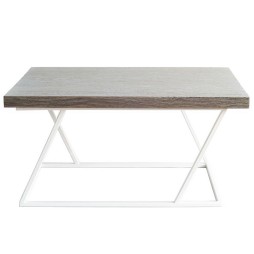 Кавовий столик Zh 5