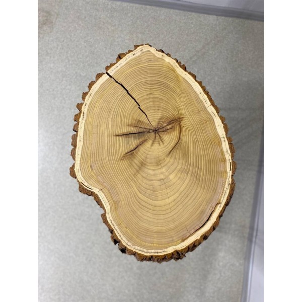 Журнальний стіл Orbita — поєднання металу та дерева для стильного інтер'єру