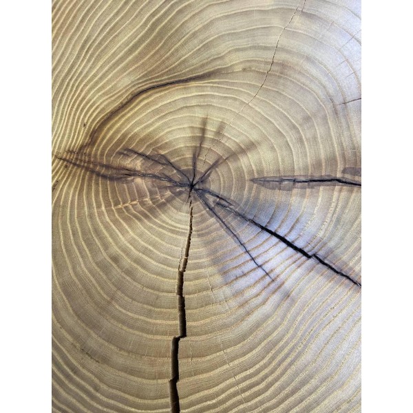 Журнальний стіл Orbita — поєднання металу та дерева для стильного інтер'єру