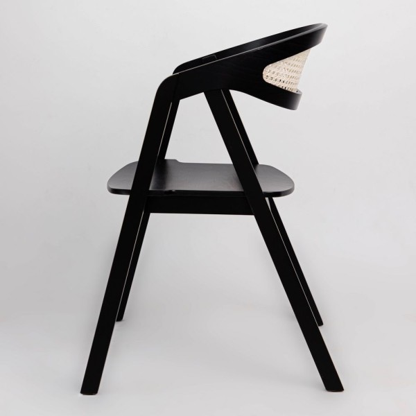 Стілець Guru Cane - стильний вибір для вашої кухні та кафе