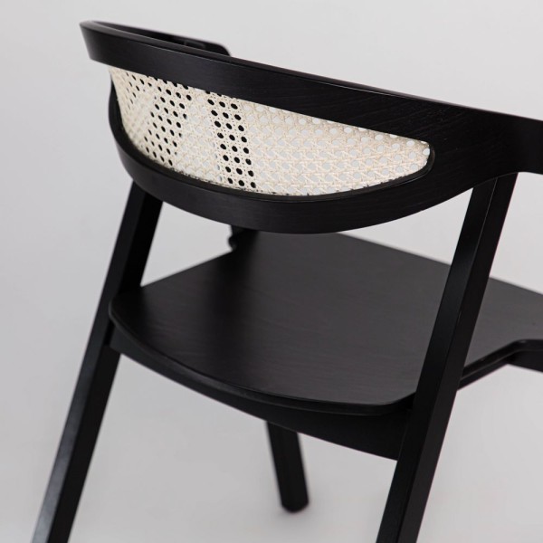 Стілець Guru Cane - стильний вибір для вашої кухні та кафе