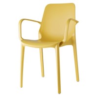 Стілець Ginevra з підлокітниками