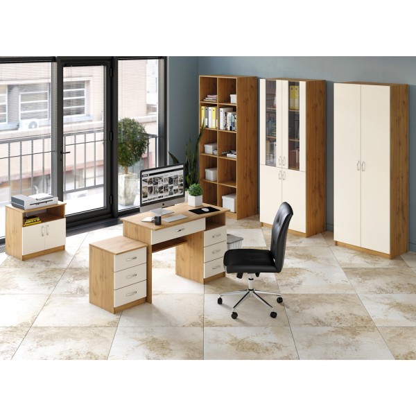 Пенал ОфП № 06 – елегантне рішення для вашого офісу