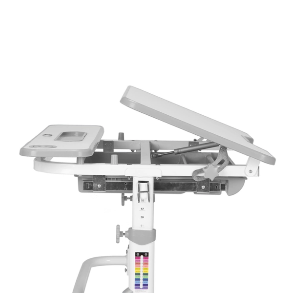 Функціональна зростаюча парта-трансформер Fressia для дітей від 5 до 14 років
