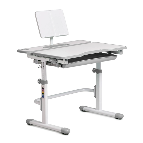 Функціональна зростаюча парта-трансформер Fressia для дітей від 5 до 14 років