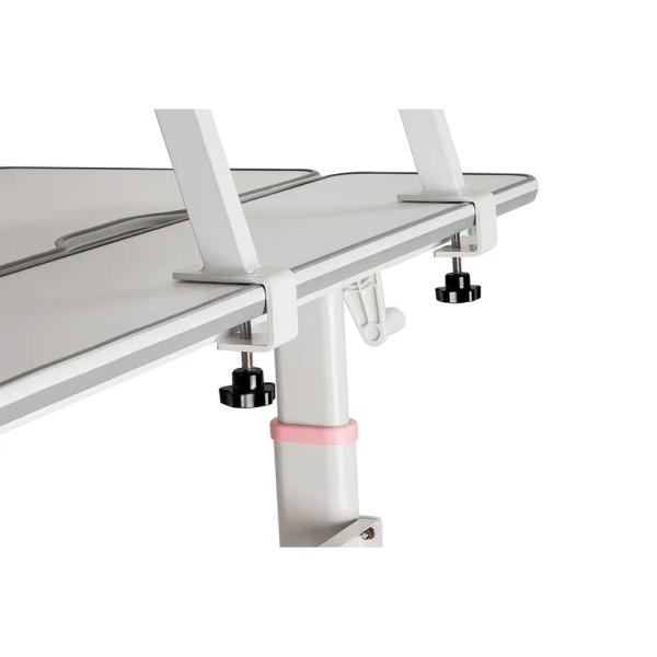 Функціональна регульована парта-трансформер для підлітка Tulipa