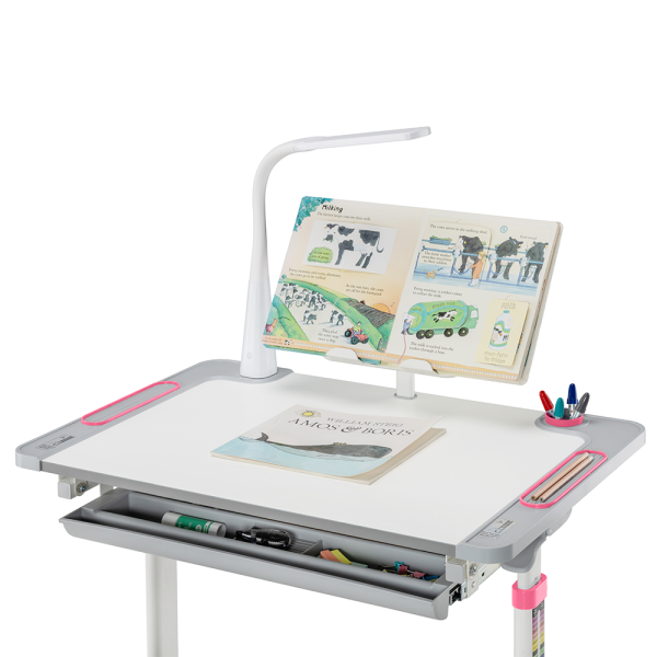 Дитяча парта зі стільчиком Littonia – комфорт та стиль для вашої дитини