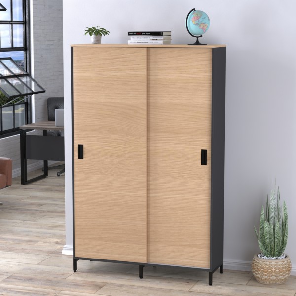 Шафа офісна розсувна LS-1200-1900 в стилі лофт для вашого офісу