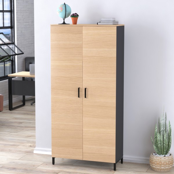 Шафа офісна LT-900-1900 для вашого офісу