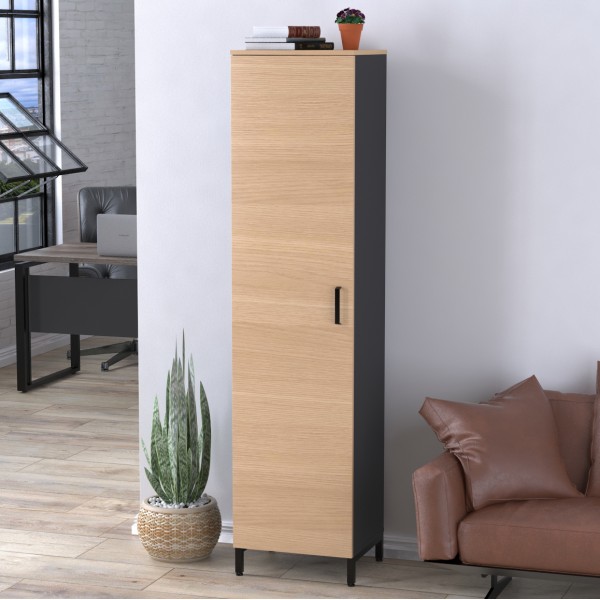 Шафа офісна LT-450-1900 — ваш ідеальний вибір для офісу