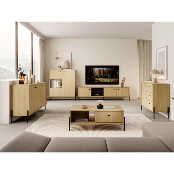 Вітрина Scandinavi 2D1W/103: стиль для вашої вітальні