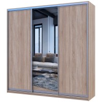 Шкаф-купе Сити Лайт 225 2 ДСП / 1 зеркало