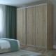Шафа-купе Сіті 24 3 ДСП для вашої спальні